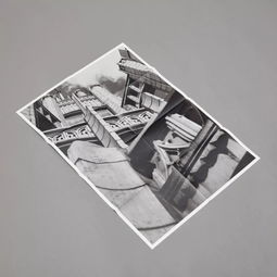 AGI新星閃耀南半球 2019年澳大利亞新晉會員平面設計師風采